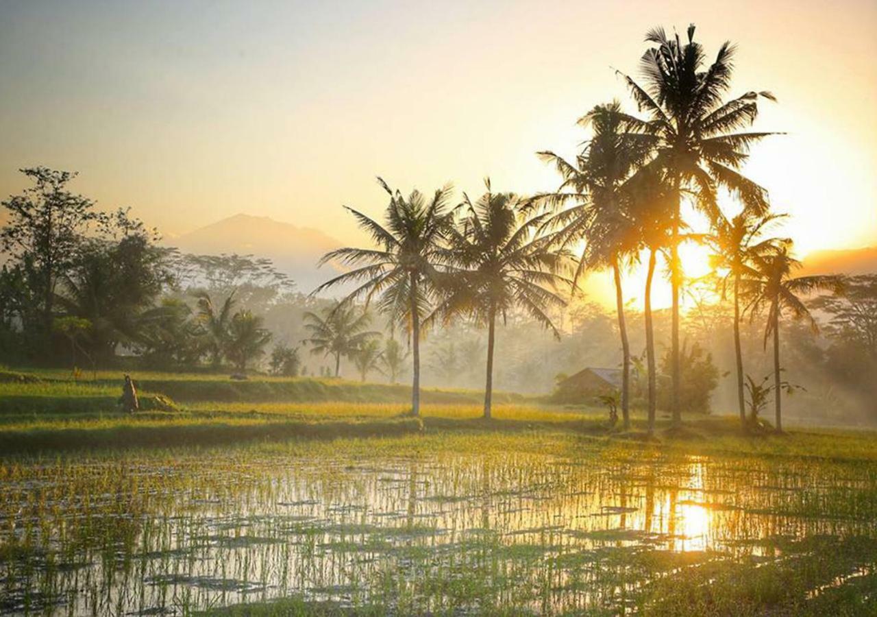 วิลล่าปูรีดาร์มาอากุง อูบุด ภายนอก รูปภาพ